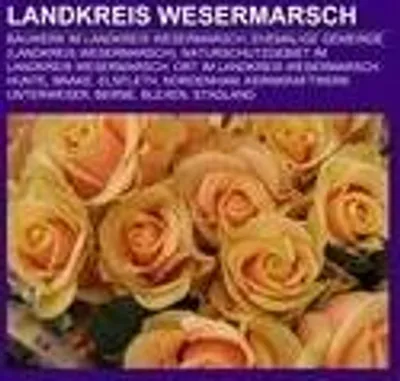 Produktbild von Landkreis Wesermarsch