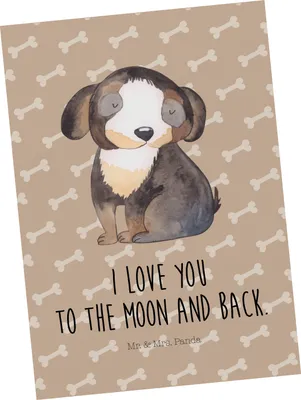 Produktbild von Mr. & Mrs. Panda Postkarte Hund Entspannen - Hundeglück - Geschenk, bildkarte, Ansichtskarten, Liebe, Ansichtskarte, Schwarzer, Süß, Grußkarte, Sprüche, Postkarten