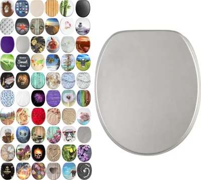 A collection of toilet seat designs arranged in a grid, with a plain silver toilet seat prominently displayed to the right.