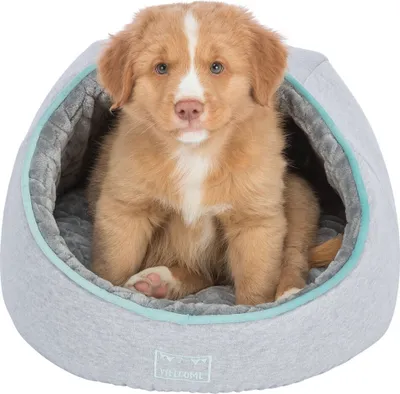Produktbild von Trixie Junior Höhle, rund ø 40 × 27 cm hellgrau/mint