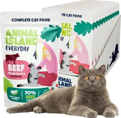 A British Shorthair cat is lying in front of a display of cat food pouches.
