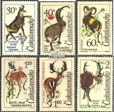 Produktbild von Briefmarken Tschechoslowakei 1963 Mi 1441-1446 (kompl.Ausg.) postfrisch Tiere