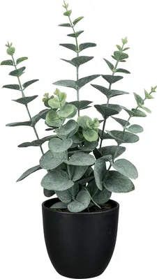Produktbild von Kunstpflanze im Topf EUKALYPTUS