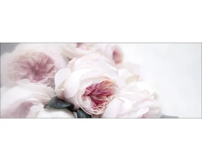 Produktbild von Glasbild Pink Flowers I 80x30 cm