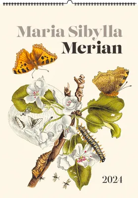 Immagine prodotto di Maria Sibylla Merian. Wandkalender 2024