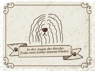 Produktbild von vianmo Holzschild 30x40 cm In den Augen des Hundes Frieden Spruch Zitat