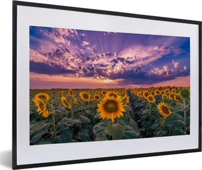 Produktbild von MuchoWow® Gerahmtes Poster Blumen - Himmel - Lila - Sonnenuntergang 60x40 cm - Poster mit Schwarzem Bilderrahmen Wandposter Rahmen Foto Bilder - Schlafzimmer - Plakat in Rahmen - Drucken