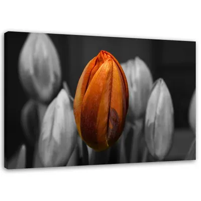 Produktbild von Leinwandbild orangefarbene tulpe 90x60 cm Feeby orange wandbild bereit zum aufhängen