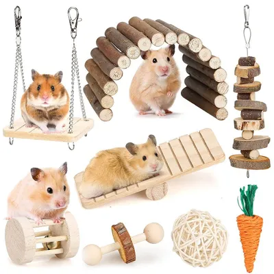 Immagine prodotto di Omgoods - Set di giocattoli per piccoli animali, con giocattoli in legno da masticare