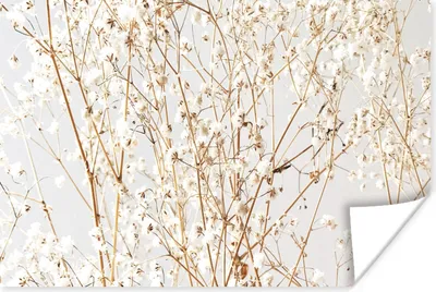 Produktbild von MuchoWow® Poster Natur - Äste - Blumen 60x40 cm - Schlafzimmerdekoration