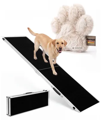 Hund auf Rampe
