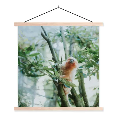 Produktbild von MuchoWow® Textilposter Zwergseidenäffchen im Baum 60x60 cm mit holzfarbenen Rahmen - Wanddekoration