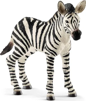 Produktbild von Schleich Wild Life - Junges Zebra, Figur für Kinder ab 3 Jahren