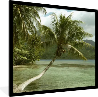Produktbild von MuchoWow® MuchoWow® Gerahmtes Poster Palmen am Strand von Mo'orea 40x40 cm - Poster mit zchwarzem Bilderrahmen - Mit Rahmen - Wanddekoration Schlafzimmer