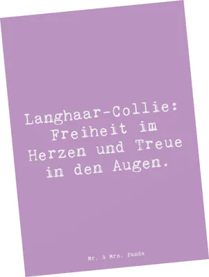 Produktbild von Mr. & Mrs. Panda Postkarte Spruch Langhaar Collie Treue - Lavendeltraum - Geschenk, Postkarten, Fotokarte, Hunderasse, Hunde, Grußkarte, in den Augen, Ansichtskarte