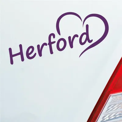 Produktbild von Auto Aufkleber Herford Herz Stadt City Liebe Love Heimat 18x8 cm Lila Sticker Heckscheibenaufkleber