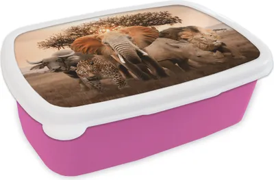 Produktbild von KitchenYeah® Lunchbox Brotzeit Brotdose 17x11 cm Tiere - Elefant - Löwe Kinder Brotzeitdose - Lunchpaket - Brotkasten  - Sandwich Box
