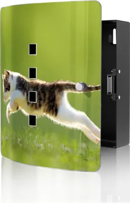 Produktbild von banjado Design Schlüsselkasten aus Edelstahl für 10 Schlüssel, Schlüsselschrank 24 x 21,5 x 7cm groß mit Magnetverschluss,  Jagende Katze [BWSK 10729]