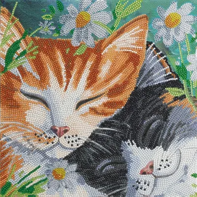 Produktbild von Crystal Art Leinwandbild Katzen