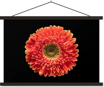 Produktbild von MuchoWow® Textilposter Eine orangefarbene Gerbera-Blüte vor schwarzem Hintergrund 120x80 cm mit schwarzem Rahmen - Wanddeko