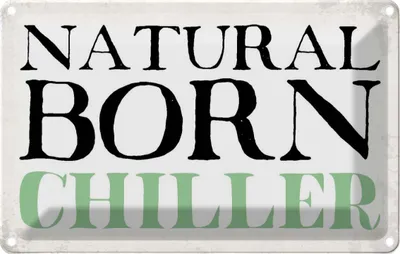 Produktbild von vianmo Blechschild 20x30 cm natural born chiller Faultier Dekoration