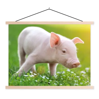Produktbild von MuchoWow® Textilposter Tiere - Ferkel - Schwein 120x90 cm mit holzfarbenen Rahmen - Magnetisch