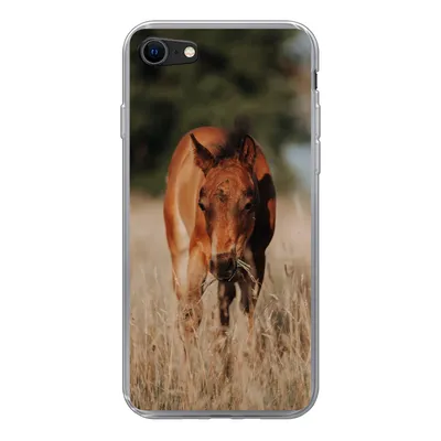 Produktbild von MuchoWow® Handyhülle Schutzhülle Hülle für iPhone 7 Pferd - Sonne - Landschaft Silikon Softcase Handy Hülle - Kartenhalter