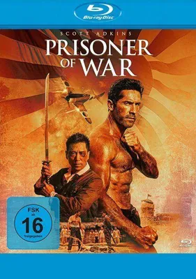 Produktbild von Prisoner of War