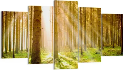 Produktbild von Bild auf Leinwand - Leinwandbild - Bäume Sonne Natur - 160x85cm - Wand Bild - Wanddeko - Wandbilder - Leinwanddruck - Bilder - Kunstdruck - Wanddekoration - Leinwand bilder - Wandkunst - EA160x85-0156
