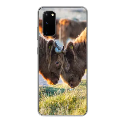 Produktbild von MuchoWow® Handyhülle Schutzhülle Hülle für Samsung Galaxy S20 Schottische Highlander - Tiere - Sonne Silikon Softcase Handy Hülle - Bild