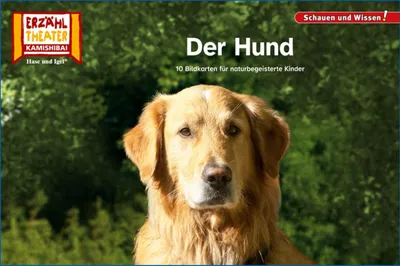 Produktbild von Der Hund / Kamishibai Bildkarten