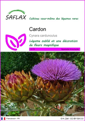 Image de SAFLAX  - Cardon - 50 graines - Cynara