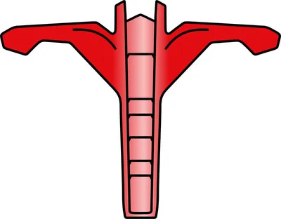 Immagine prodotto di Presa D'Aria Mentoniera Rosso Lucido Casco Airoh Twist 2.0