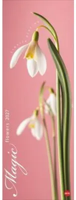 Produktbild von Magic Flowers Vertical Kalender 2027