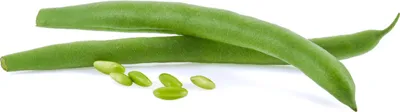 Produktbild von Mungbohne Grüne Schoten Hilds Neckarkönigin Bohnensamen 10G