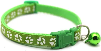 Produktbild von Hundehalsband Pfote 1x19-32cm Grün