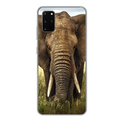 Produktbild von MuchoWow® Handyhülle Schutzhülle Hülle für Samsung Galaxy S20 Plus Elefant - Gras - Tiere - Natur Silikon Softcase Handy Hülle - Hartschale