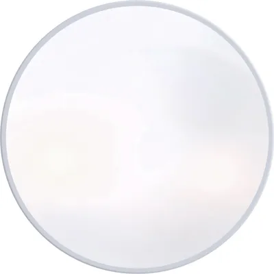 A round, silver metallic outdoor light fixture with a white diffuser.