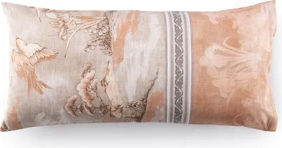 A rectangular pillowcase with a toile-style print of birds and flowers.