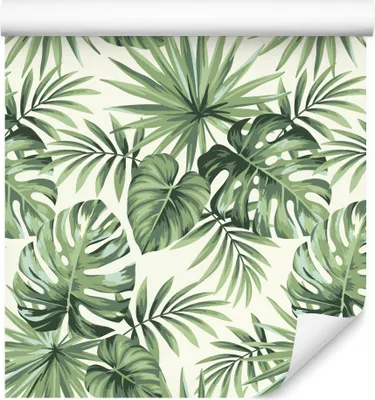 Produktbild von 10m VLIES TAPETE Rolle Pflanzen Blätter Grün Monstera Tropen Natur XXL