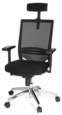 Produktbild von bümö Seating ErgonomicXL Chefsessel