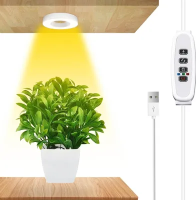 A potted plant is illuminated by a ring-shaped grow light attached to a wooden surface. A USB controller is visible to the right.