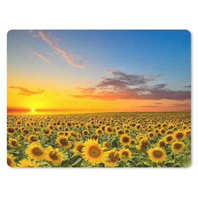 Produktbild von MuchoWow® Mauspad Mousepad Blumen - Sonnenblume - Sonnenuntergang - Nacht - Orange 23x19 cm - Mousepads - Maus Mat - Pad - Mausunterlage - Schreibtischunterlage - Mauspad