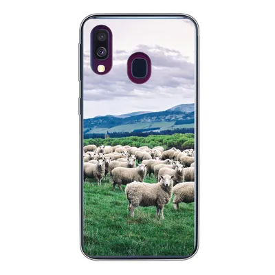 Produktbild von MuchoWow® Handyhülle Schutzhülle Hülle für Samsung Galaxy A40 Schafe - Natur - Gras Silikon Softcase Handy Hülle - Handy-Tasche