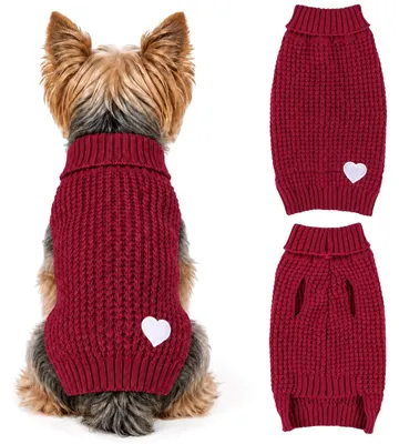 Immagine prodotto di Maglione per cani piccoli con colletto in tinta unita