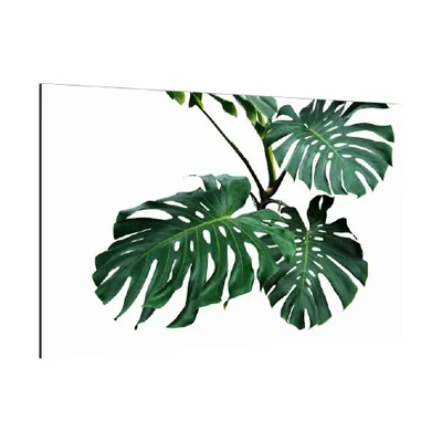 Obrázek produktu pro Skleněná magnetická tabule- dekorativní obraz ZELENÉ VELKÉ LISTY 60x40 cm