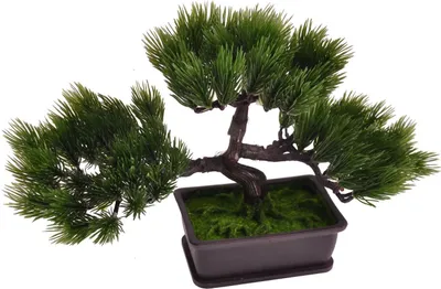 Image de Bonsaï artificiel en pot 26x21x13cm Plante artificielle Décoration de table Décoration de fenêtre