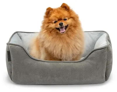 Productafbeelding van lionto Hondenbed – 2-in-1 omkeerbaar mandje, zacht gevoerd en gemakkelijk schoon te maken, met diepe instap, 60x50 cm, lichtgrijs/donkergrijs