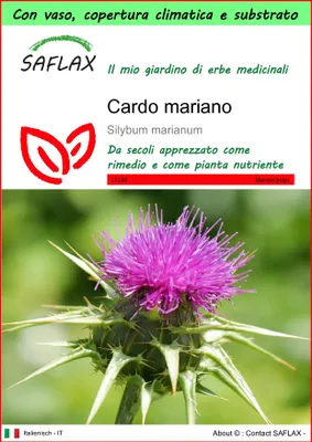 Immagine prodotto di SAFLAX Garden to go - Cardo mariano - 75 semi - Silybum
