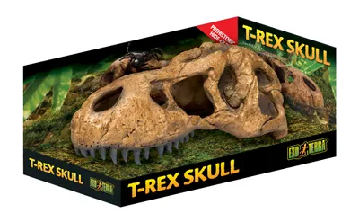 Produktbild von Hagen EX T-Rex Schädel; PT2859